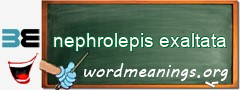 WordMeaning blackboard for nephrolepis exaltata